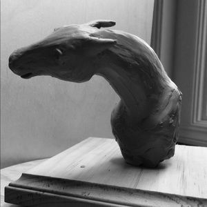 Meet your Posher, Corie